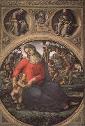 Luca Signorelli Madonna and Child with Prophets Germany oil painting artist